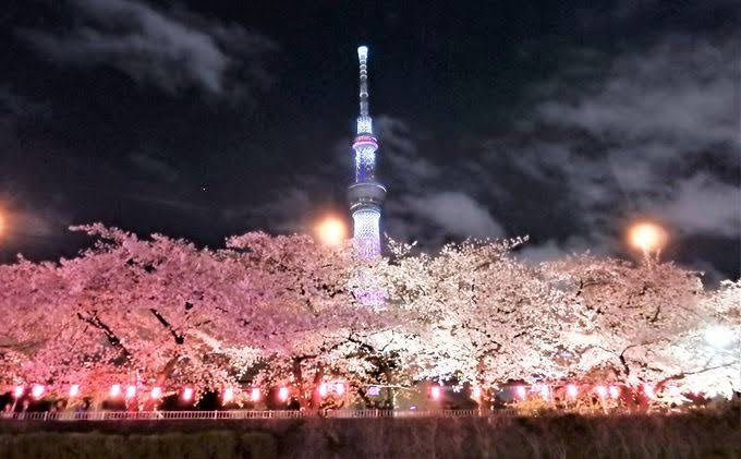 3/23(土) Nanafuお花オフ会 ~ 浅草・春の夜宴 ~ 参加チケット - Nanafu｜YUKATA Roomwear